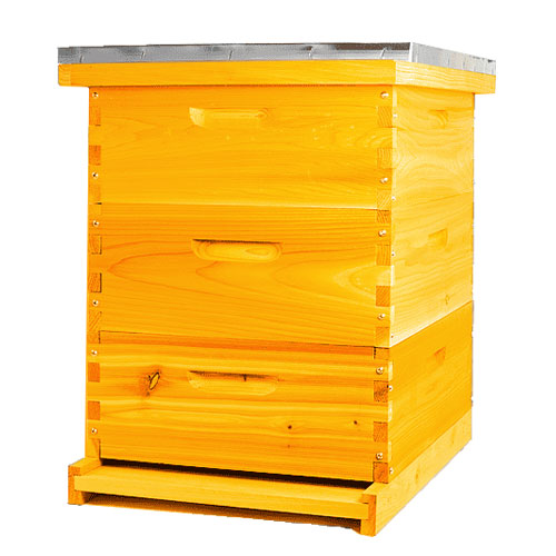 How to Start Bee Farming in Kenya