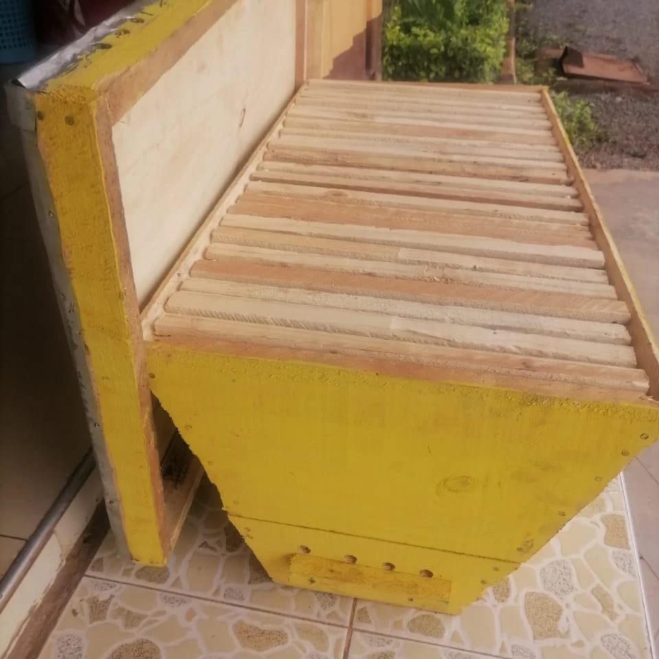 How Much Honey Does One Beehive Produce in Kenya