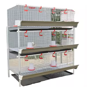 Improved Kienyeji Farming Profitability in Kenya