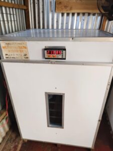 Eggs incubator prices by chickmasters incubators 