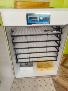Automatic egg incubators by chick masters incubators