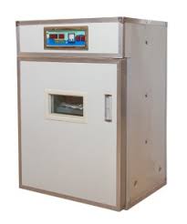 Is Buying an Egg Incubator in Kenya Profitable? Cost vs Returns
