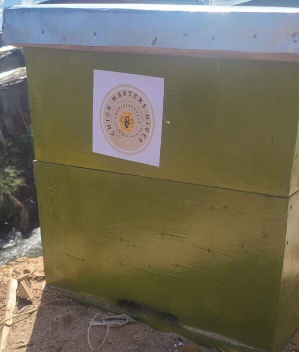 How to Harvest Honey Without Damaging the Beehive