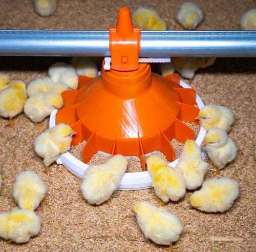 Automatic Feeding Systems